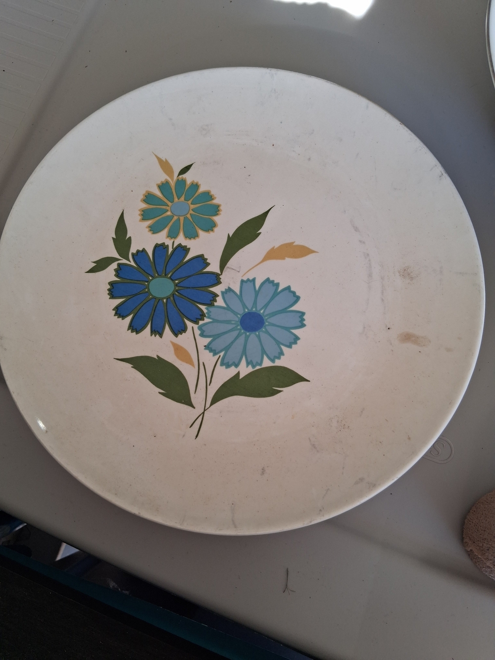 plate is a Genuine American Ironstone plate in the "Western Wildflower" patetrn